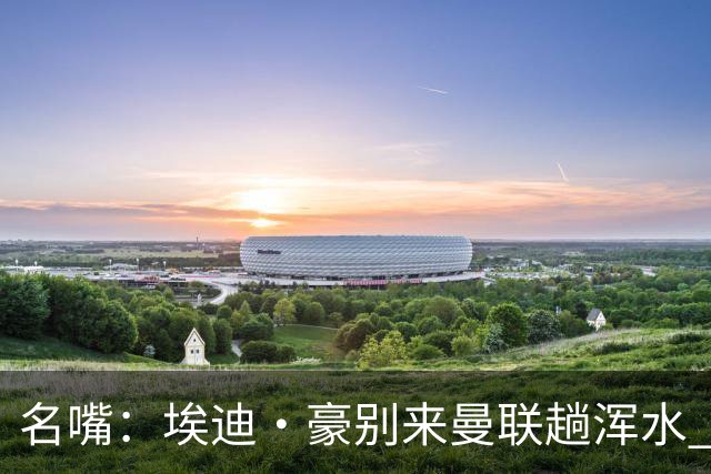 名嘴：埃迪·豪别来曼联趟浑水 不该由卡里克背黑锅
