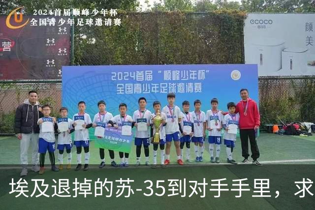 埃及退掉的苏-35到对手手里，求锤得锤，歼-10C成唯一解药