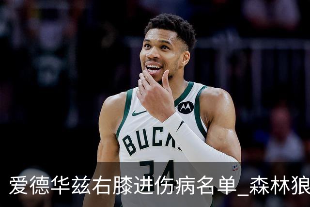 爱德华兹右膝进伤病名单 森林狼战骑士存变数