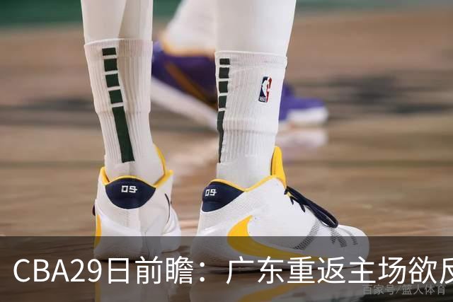 CBA29日前瞻：广东重返主场欲反弹 北京继续冲连胜 北控能否避连败